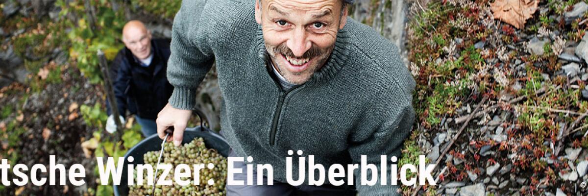 Deutsche Winzer: Ein Überblick