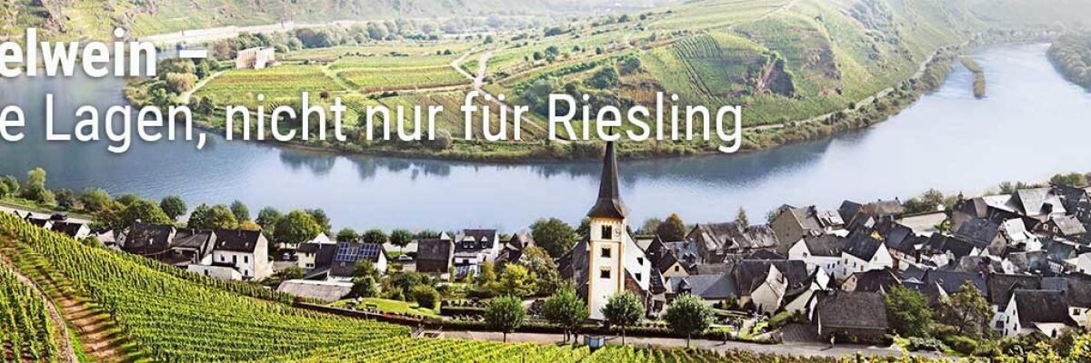 Moselwein - Beste Lagen, nicht nur für Riesling