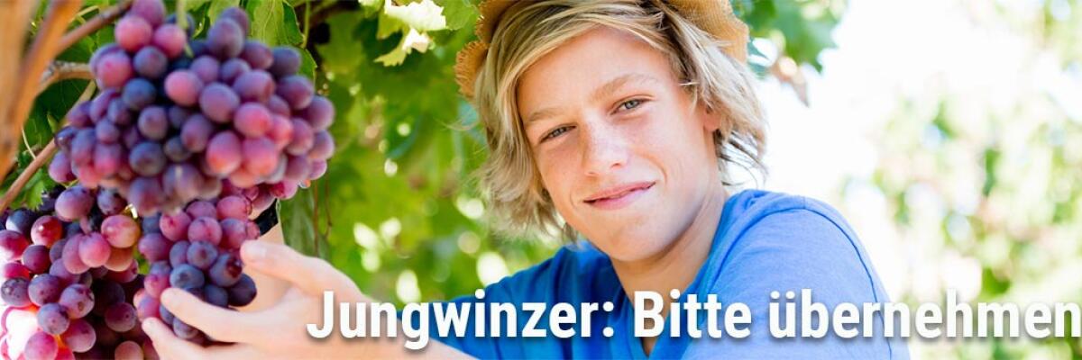 Jungwinzer: Die neue Generation