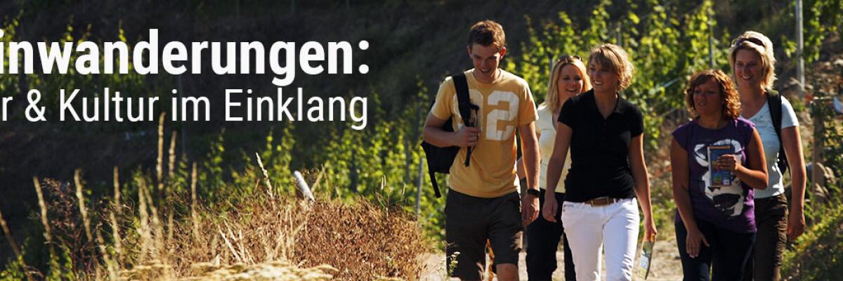 Weinwanderungen: Natur & Kultur im Einklang